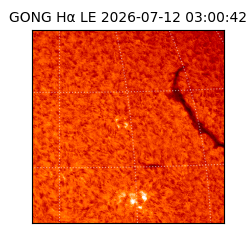 gong - 2026-07-12T03:00:42