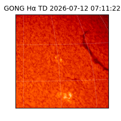 gong - 2026-07-12T07:11:22