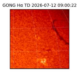 gong - 2026-07-12T09:00:22