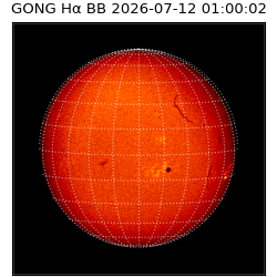 gong - 2026-07-12T01:00:02
