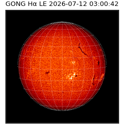 gong - 2026-07-12T03:00:42