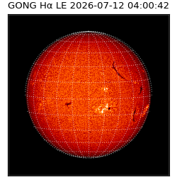 gong - 2026-07-12T04:00:42