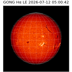 gong - 2026-07-12T05:00:42