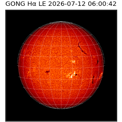 gong - 2026-07-12T06:00:42