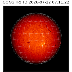 gong - 2026-07-12T07:11:22