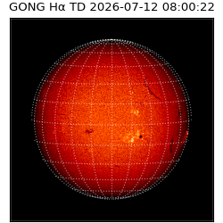 gong - 2026-07-12T08:00:22