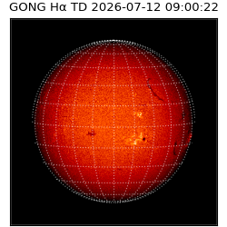 gong - 2026-07-12T09:00:22