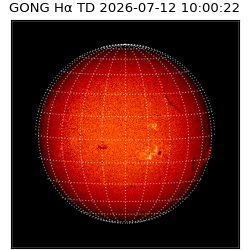 gong - 2026-07-12T10:00:22