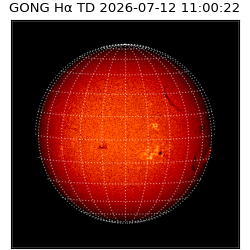 gong - 2026-07-12T11:00:22