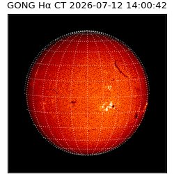 gong - 2026-07-12T14:00:42