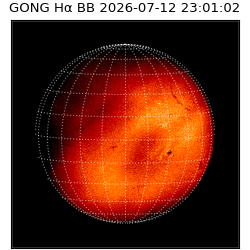 gong - 2026-07-12T23:01:02