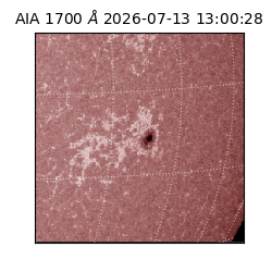 saia - 2026-07-13T13:00:28.718000