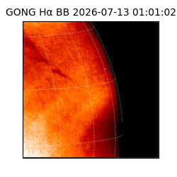 gong - 2026-07-13T01:01:02