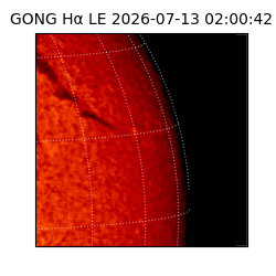 gong - 2026-07-13T02:00:42
