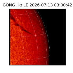 gong - 2026-07-13T03:00:42