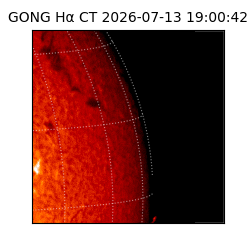 gong - 2026-07-13T19:00:42
