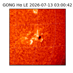 gong - 2026-07-13T03:00:42