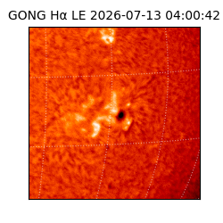 gong - 2026-07-13T04:00:42