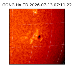 gong - 2026-07-13T07:11:22