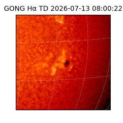 gong - 2026-07-13T08:00:22