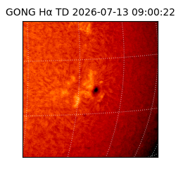 gong - 2026-07-13T09:00:22