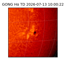gong - 2026-07-13T10:00:22