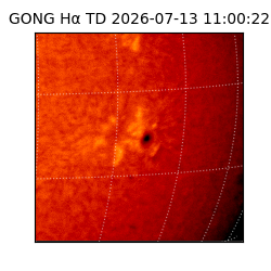 gong - 2026-07-13T11:00:22