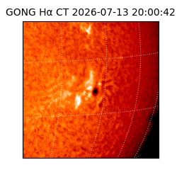 gong - 2026-07-13T20:00:42