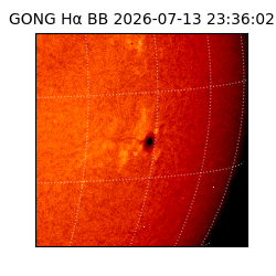 gong - 2026-07-13T23:36:02