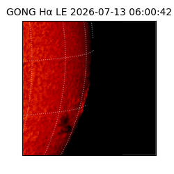 gong - 2026-07-13T06:00:42