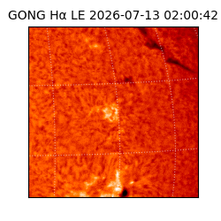 gong - 2026-07-13T02:00:42