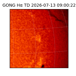 gong - 2026-07-13T09:00:22