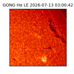 gong - 2026-07-13T03:00:42