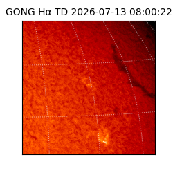 gong - 2026-07-13T08:00:22