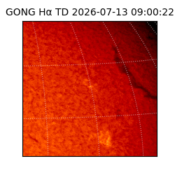 gong - 2026-07-13T09:00:22