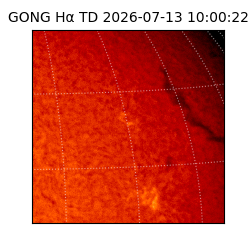 gong - 2026-07-13T10:00:22