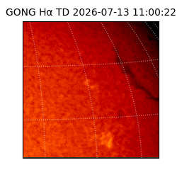gong - 2026-07-13T11:00:22