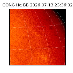 gong - 2026-07-13T23:36:02