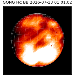 gong - 2026-07-13T01:01:02