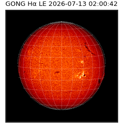 gong - 2026-07-13T02:00:42