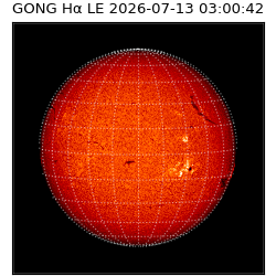 gong - 2026-07-13T03:00:42