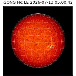 gong - 2026-07-13T05:00:42