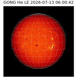 gong - 2026-07-13T06:00:42