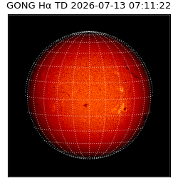 gong - 2026-07-13T07:11:22