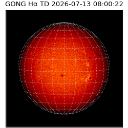 gong - 2026-07-13T08:00:22