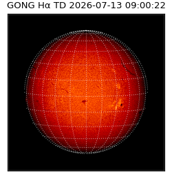 gong - 2026-07-13T09:00:22