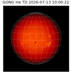 gong - 2026-07-13T10:00:22