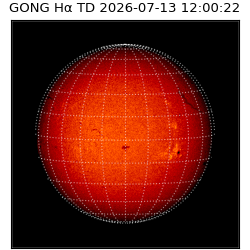 gong - 2026-07-13T12:00:22