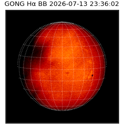 gong - 2026-07-13T23:36:02