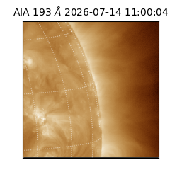 saia - 2026-07-14T11:00:04.842000